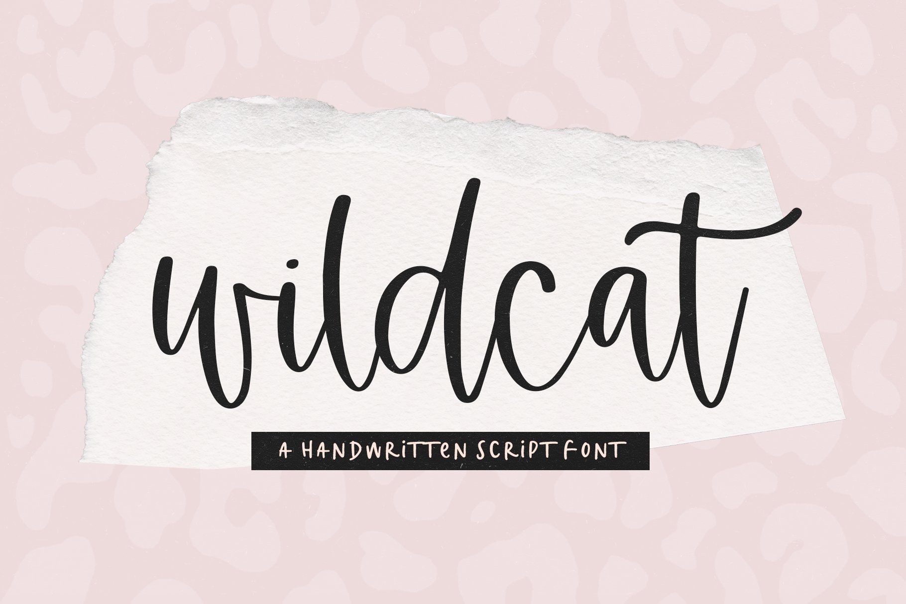 Wildcat | Handwritten Script Font app branding design graphic design illustration logo typography ui ux vector