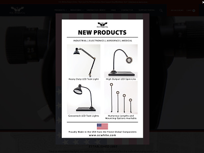 New Product Flyer & Promotional Pop-Up graphic design print design webdesign