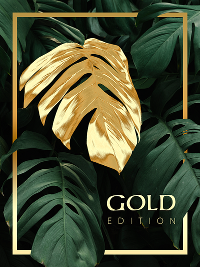 Golden leaf design frame gold graphic design illustration leaf monstera nature poster