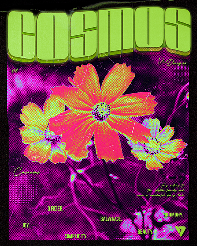 008_Cosmos branding design graphic design typography vector