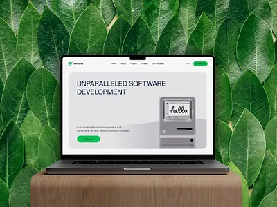 Landing Page Redesign brutalism development landing page software web3