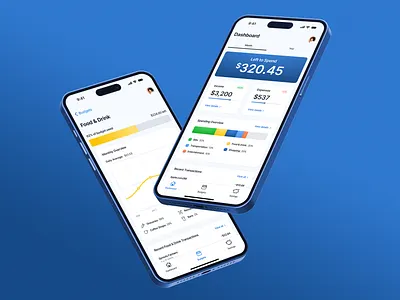 Dashboard Exercise budgeting dashboard finance ui ux