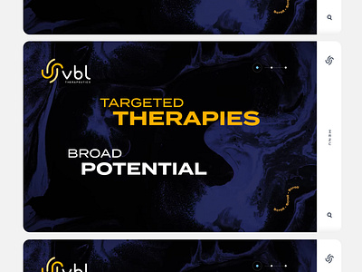 VBL Therapeutics Website