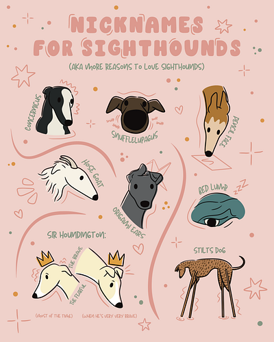 Nicknames for Sighthounds animal art art prints custom pet potraits cute illustration digital art dog art illustration procreate simple illustration