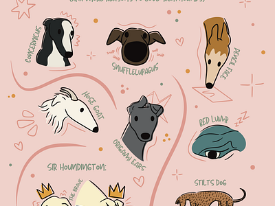 Nicknames for Sighthounds animal art art prints custom pet potraits cute illustration digital art dog art illustration procreate simple illustration