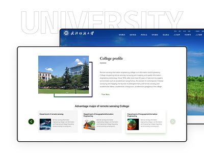 University WEB Design college ui university ux web design