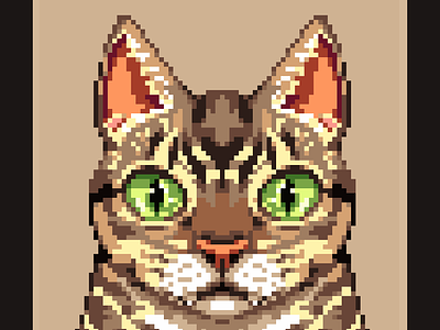 Cat portrait 2d art pixel pixelart