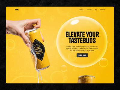 TONIC - Product Website branding design graphic design landing page product website ui web design website design