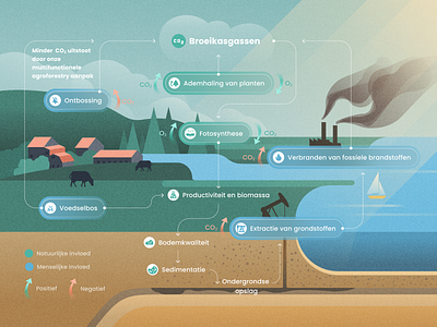 Carbon Cycle Infographic for Boer in Natuur biogas carbon carbon cycle carbon cycle infographic climate change co2 design earth eco ecofriendly environment farm flat greenhouse illustration infographic landscape nature netherlands sustainability