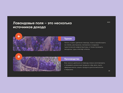 Lavender Fields Presentation Slide design graphic design presentation web design