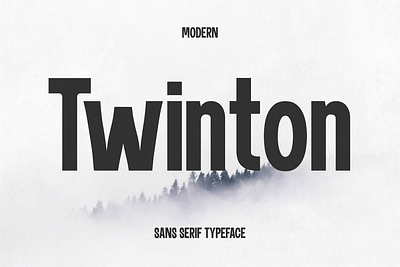 Twinton - Modern Sans branding business classic clean creative design font graphic design illustration logo luxury minimal modern professional sans simple typeface typography urban