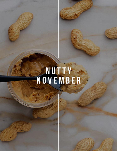 Nutty November design graphic design imagery