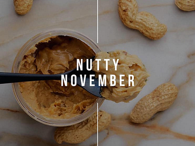 Nutty November design graphic design imagery