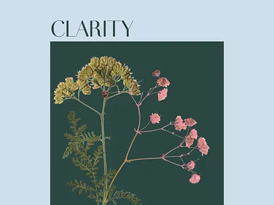 Clarity blue wall art botanical design flowers green illustration light blue minimalist nature poster pressed flower print wall art