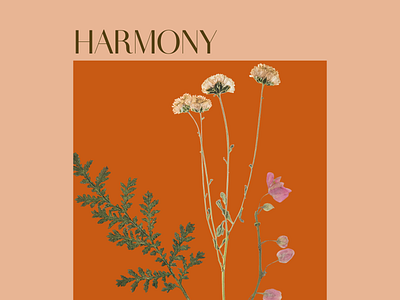 Harmony beige botanical design botany flower market poster minimalist orange pink pressed flowers print wall art