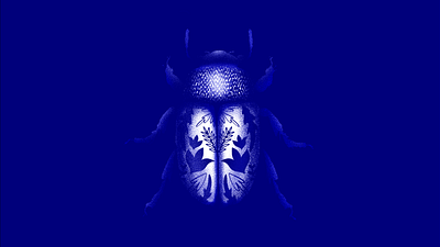 Blue Botanical Beetle beetle blue botanical floral pattern stipple