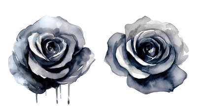 Black rose watercolor black flower graphic design illustration rose vector watercolor