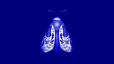 Blue Botanical Moth blue botanical floral illustration moth pattern stipple