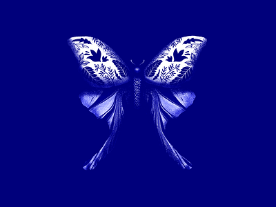 Blue Botanical Butterfly blue botanical bug butterfly floral pattern stipple