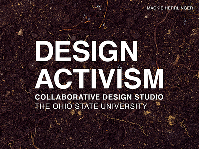 Design Activism for Sustainability book bookdesign branding design designactivism graphic design indesign layout studentdesign studio sustainability
