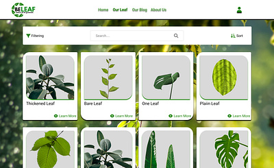 BeLEAF - Leaf Encyclopedia Website adobexd figma flowers graphic design learning nature plants uiux website