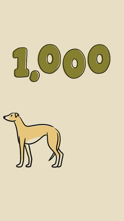 Celebrating 1k Followers on IG - Animation animal art animation cute illustration digital art dog animation dog art illustration illustrator procreate simple illustration