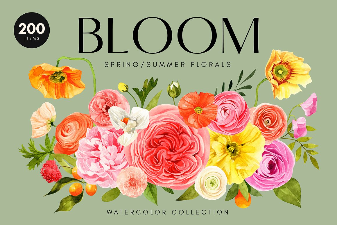 Spring Summer Flowers Watercolor app branding design graphic design illustration logo typography ui ux vector