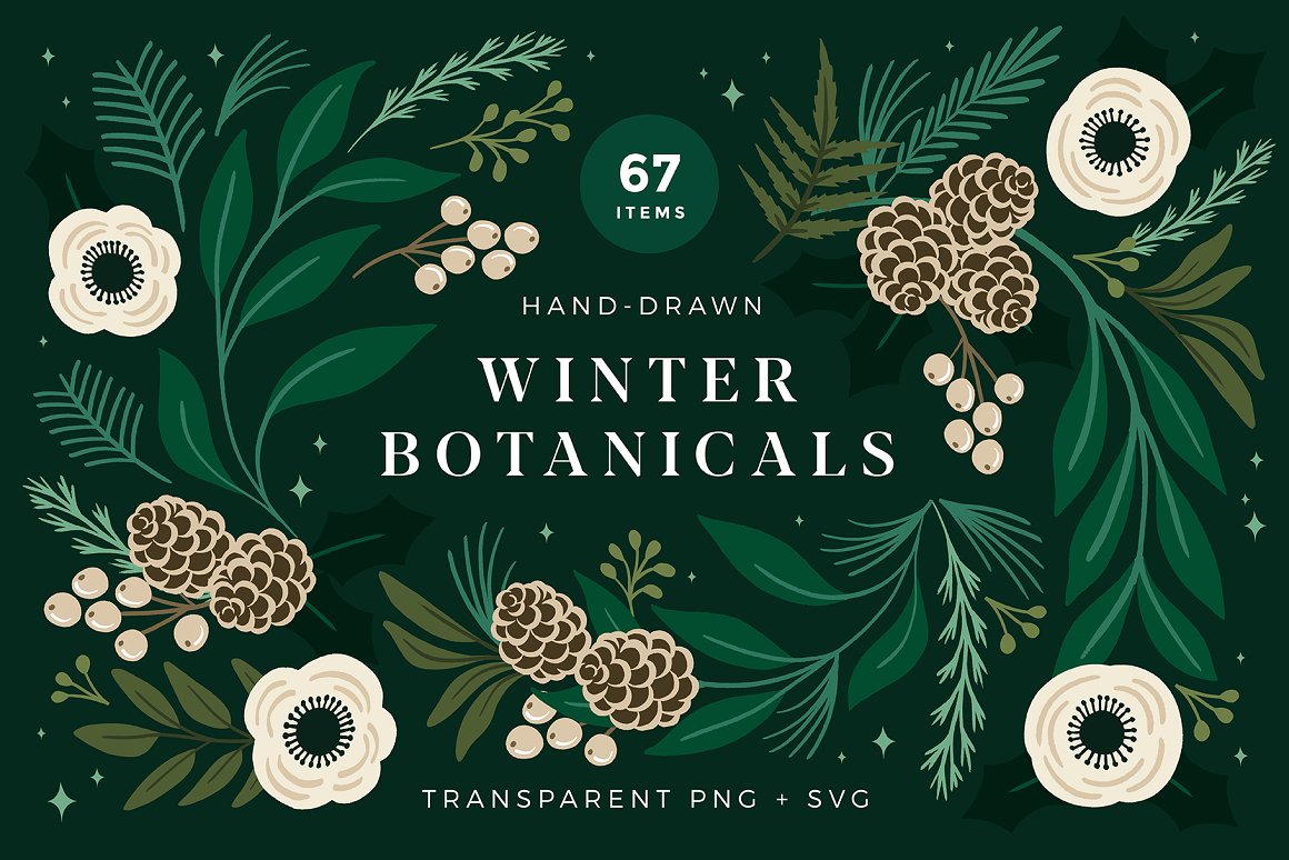 Christmas Botanical Illustrations app branding design graphic design illustration logo typography ui ux vector