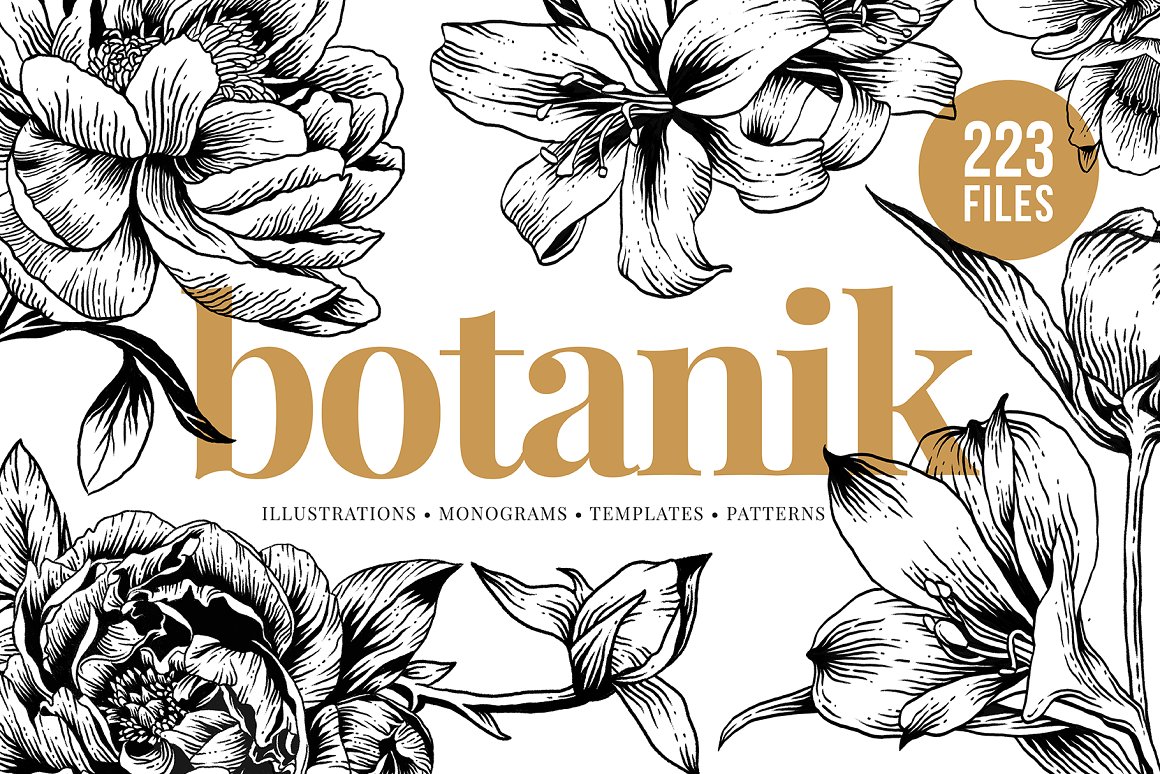 Botanical Illustration Bundle app branding design graphic design illustration logo typography ui ux vector