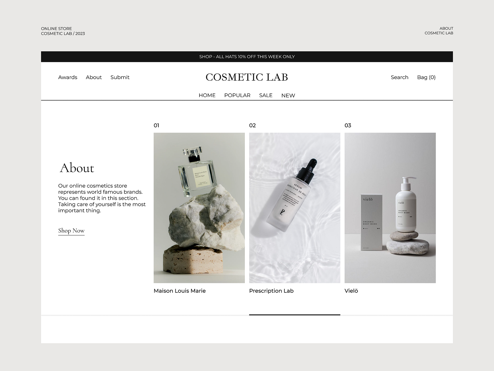Alina Lytvynenko | Dribbble