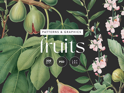 Botanical Floral and Fruits Pattern app branding design graphic design illustration logo typography ui ux vector