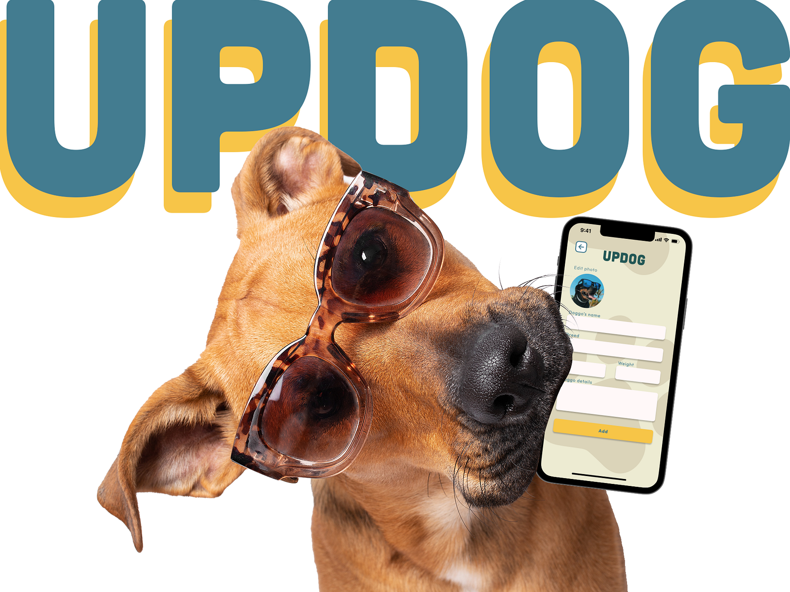 Updog hot sale dog walking