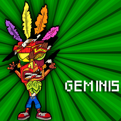 Geminis (Crash Bandicoot) art design illustration ilustración ipad photoshop procreatapp procreate vector