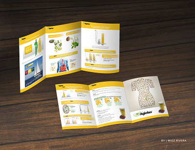 Brochure branding brochure design flyer graphic design illustration logo vector youtube thumbnail