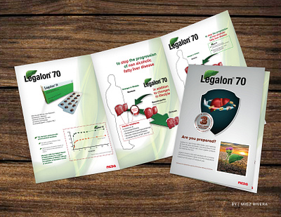 Brochure branding brochure design graphic design illustration logo vector youtube thumbnail