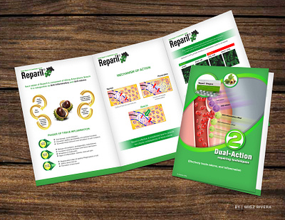 Brochure branding brochure design flyer graphic design illustration logo vector youtube thumbnail