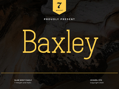 Baxley | Slab Serif Family Font aesthetic fonts best seller font branding canva fonts commercial use fonts crafter serif font cricut font display font headline logo font logo serif font magazine fonts motion graphics serif font slab serif font social media font typeface font typography website website font