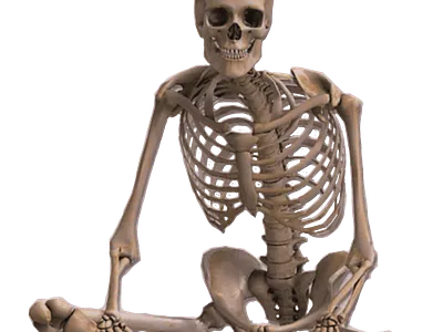 Skull transparent png graphic design