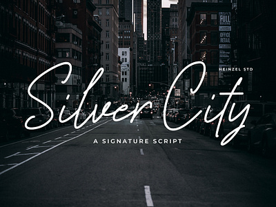 Silver City | Signature Script Font beautiful font beautiful script best seller font branding crafter cricut font cursive font design graphic design handwritten font invitations font logos font monoline font photography font signature font single line font social media typography website wedding font