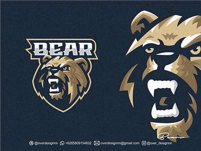 Bear Logo Design bear logo branding design graphic design identity illustration logo mark tshirt vector