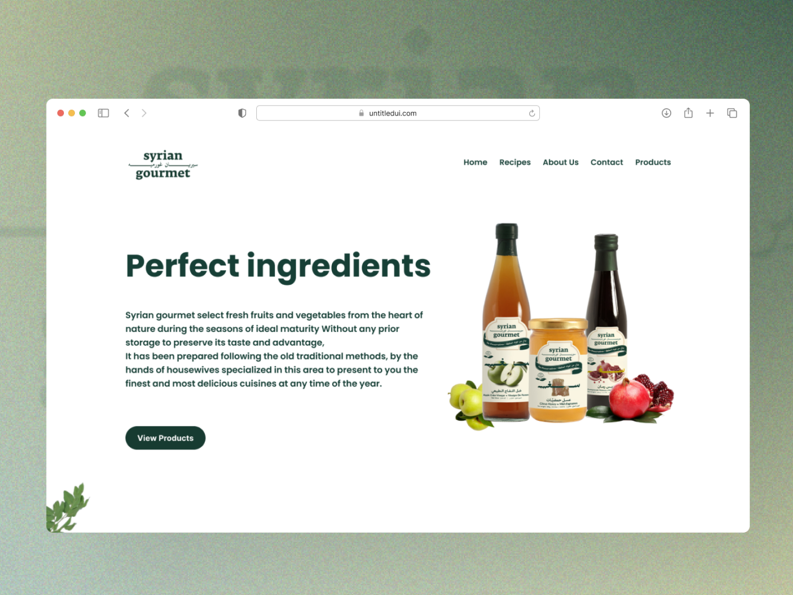 Syrian Gourmet Website - Landing Page design food landingpage organic ui user interface website
