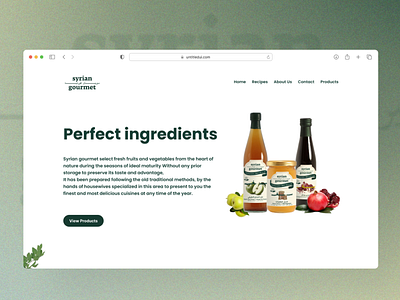 Syrian Gourmet Website - Landing Page design food landingpage organic ui user interface website