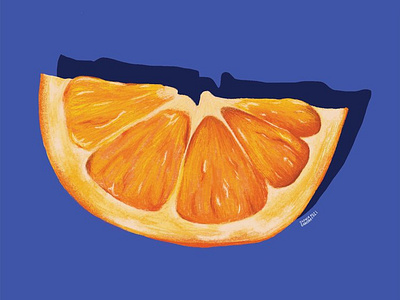 Orange Slice - By: Sophia Grausam cookbook cookbook illustration digital art digital illustration food food illustration foodie illustration ipad art packaging design packaging illustration procreate