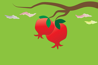 Pomegranate beautiful pomegranate fruit fruit illustration