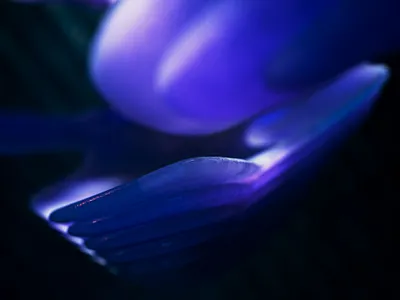 3D abstract 3d 3d design artwork cinema4d design