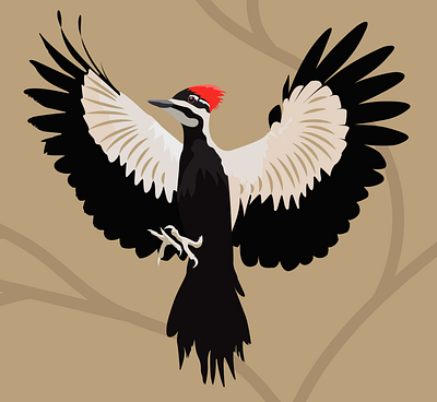 Woodpecker graphic design illustration vector