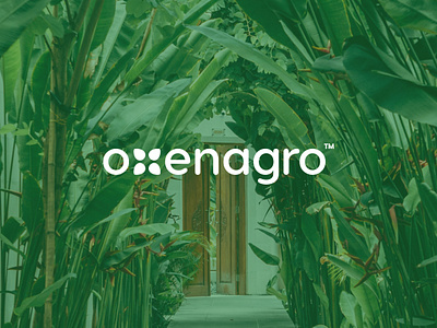 Oxenagro - Gardening Tutorials, Tools, and Seeds brand brand designer brand identity brand identity designer branding clean logo design designer graphic design graphic designer green green logo logo logo designer logo mark minimal modern oxenagro visual identity visual identity designer
