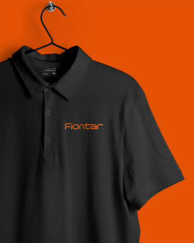 Fiontar - 2/6 branding graphic design logo