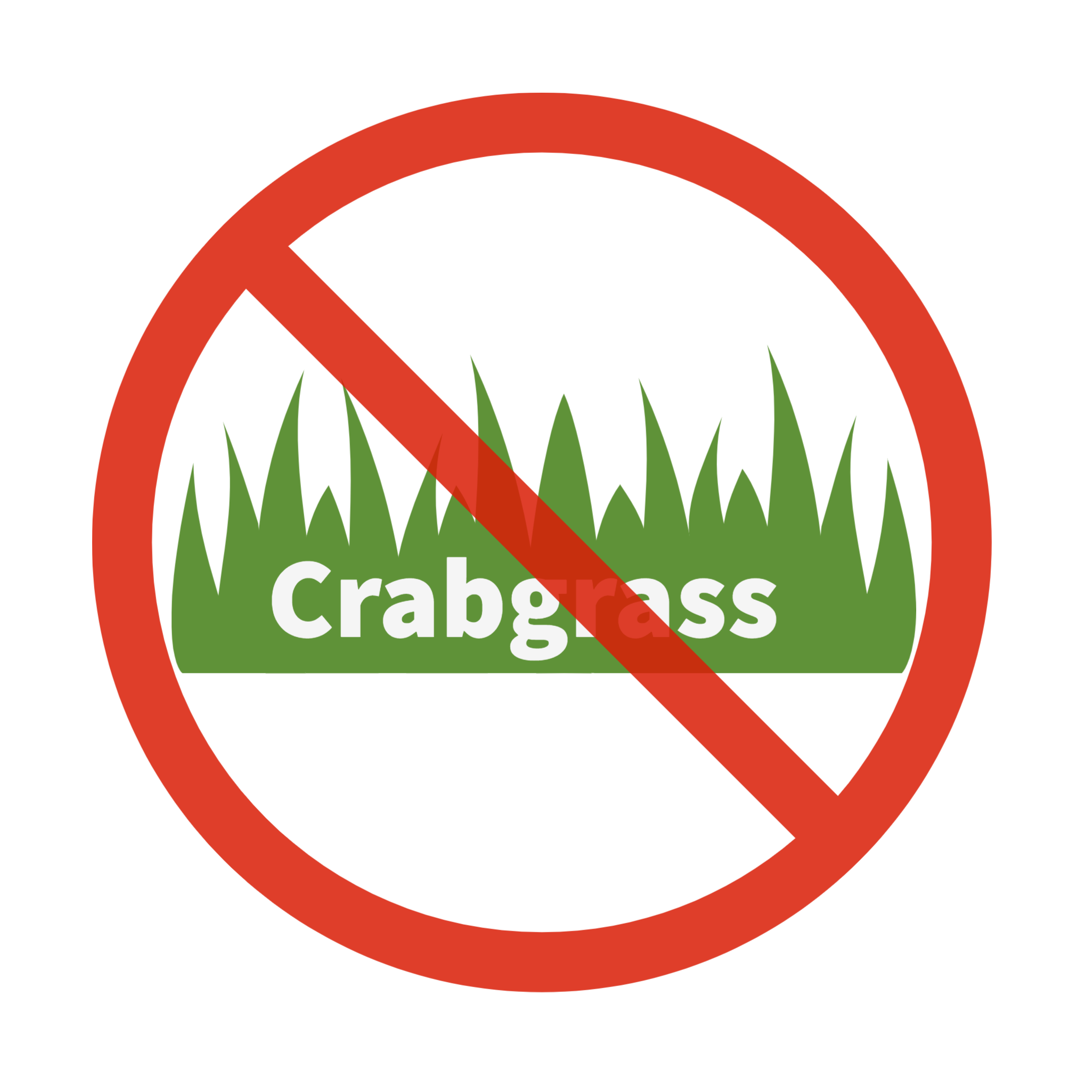 Crabgrass infographic