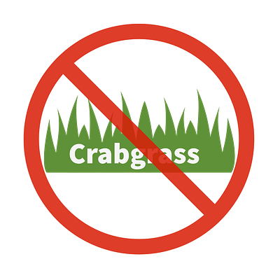 Crabgrass infographic